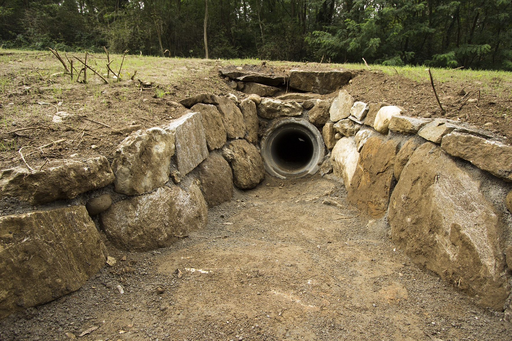 Uno dei sottopassi del progetto Life Tib - Foto Marco Tessaro